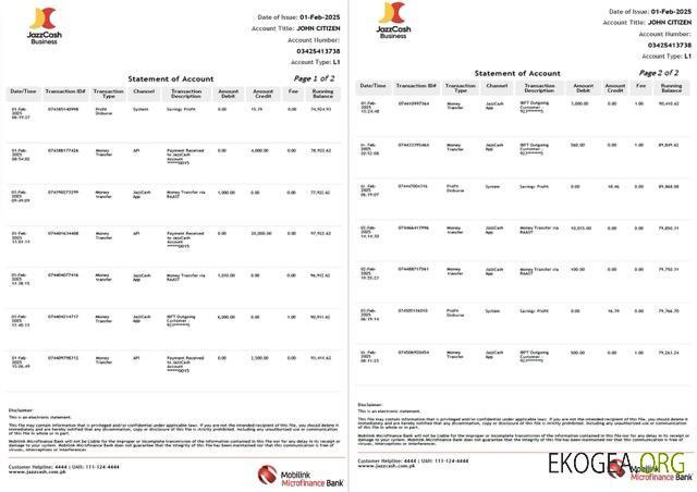 Pakistan Mobilink Microfinance Bank relevé de compte Modèle Word et PDF, 2 pages template